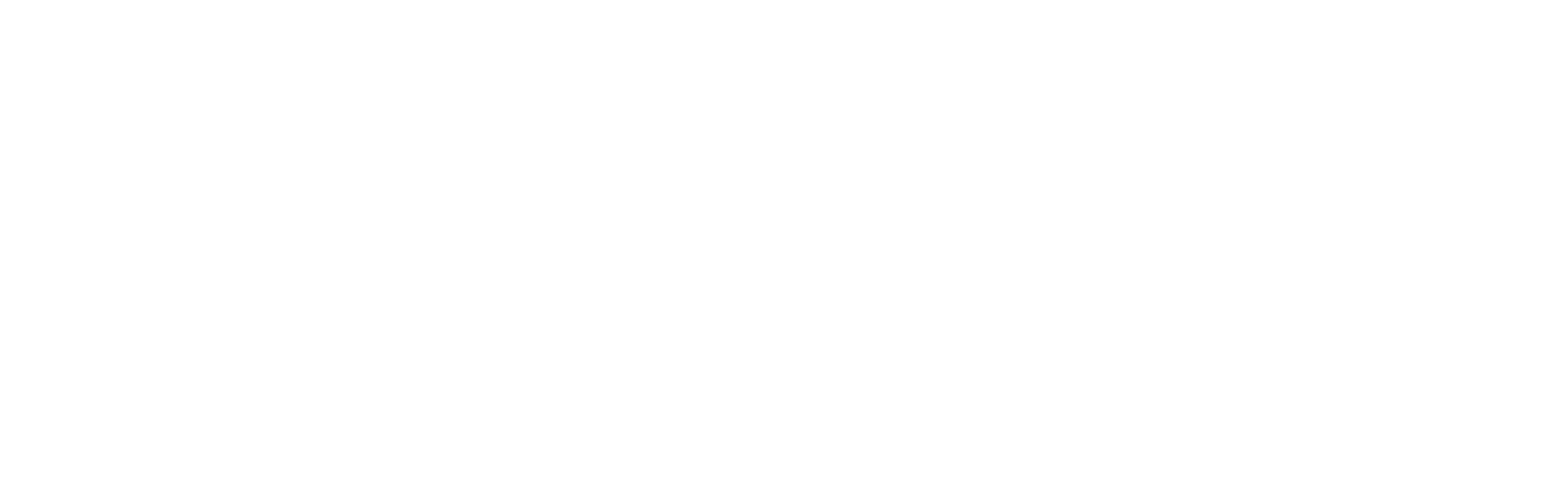 MetroStar